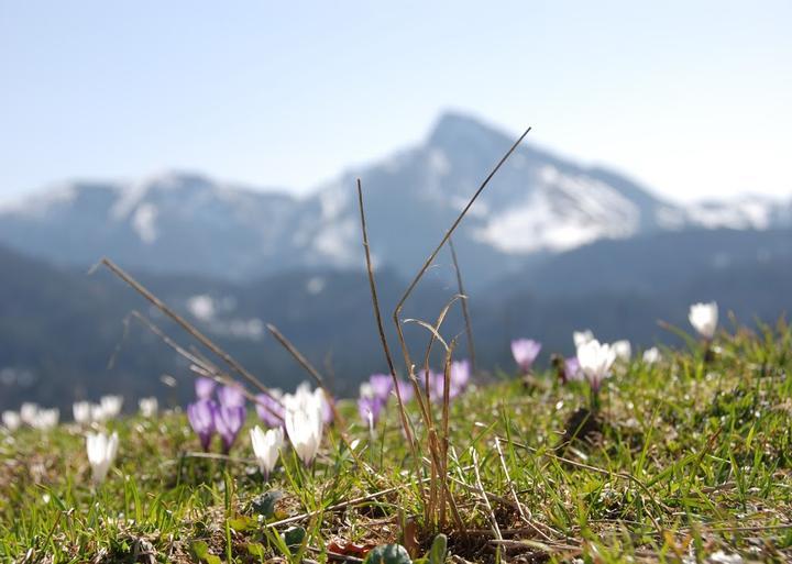 Lagler Hütte